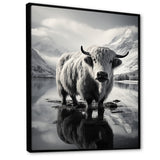 Yaks Serenade Of The Peak - Gray Yaks Wall Art