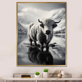 Yaks Serenade Of The Peak - Gray Yaks Wall Art