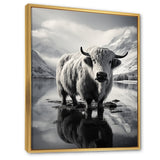 Yaks Serenade Of The Peak - Gray Yaks Wall Art