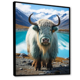 Yaks Solitude In Monochrome - Yaks Home Decor Art