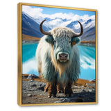 Yaks Solitude In Monochrome - Yaks Home Decor Art