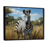 Zebra Realistic Wildlife Portrait - Zebra Wall Decor