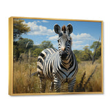 Zebra Realistic Wildlife Portrait - Zebra Wall Decor