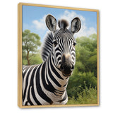 Zebra Realistic Zebra Portrait - Zebra Wall Decor
