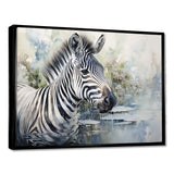 Zebra Watercolor Elegance This - White Zebra Wall Art