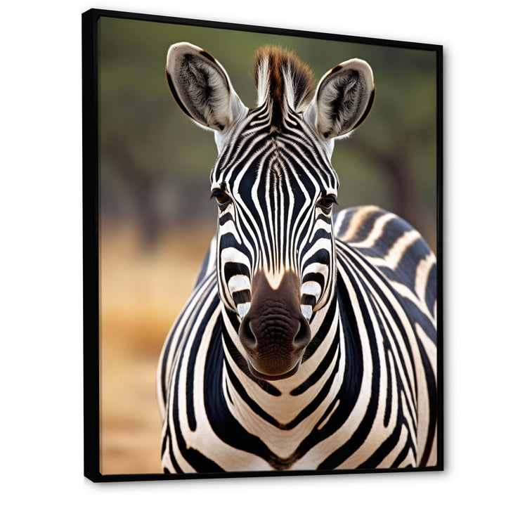 Zebra Patterns In - Zebra Living Room Wall Art