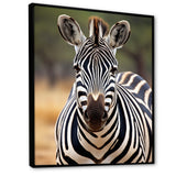 Zebra Patterns In - Zebra Living Room Wall Art
