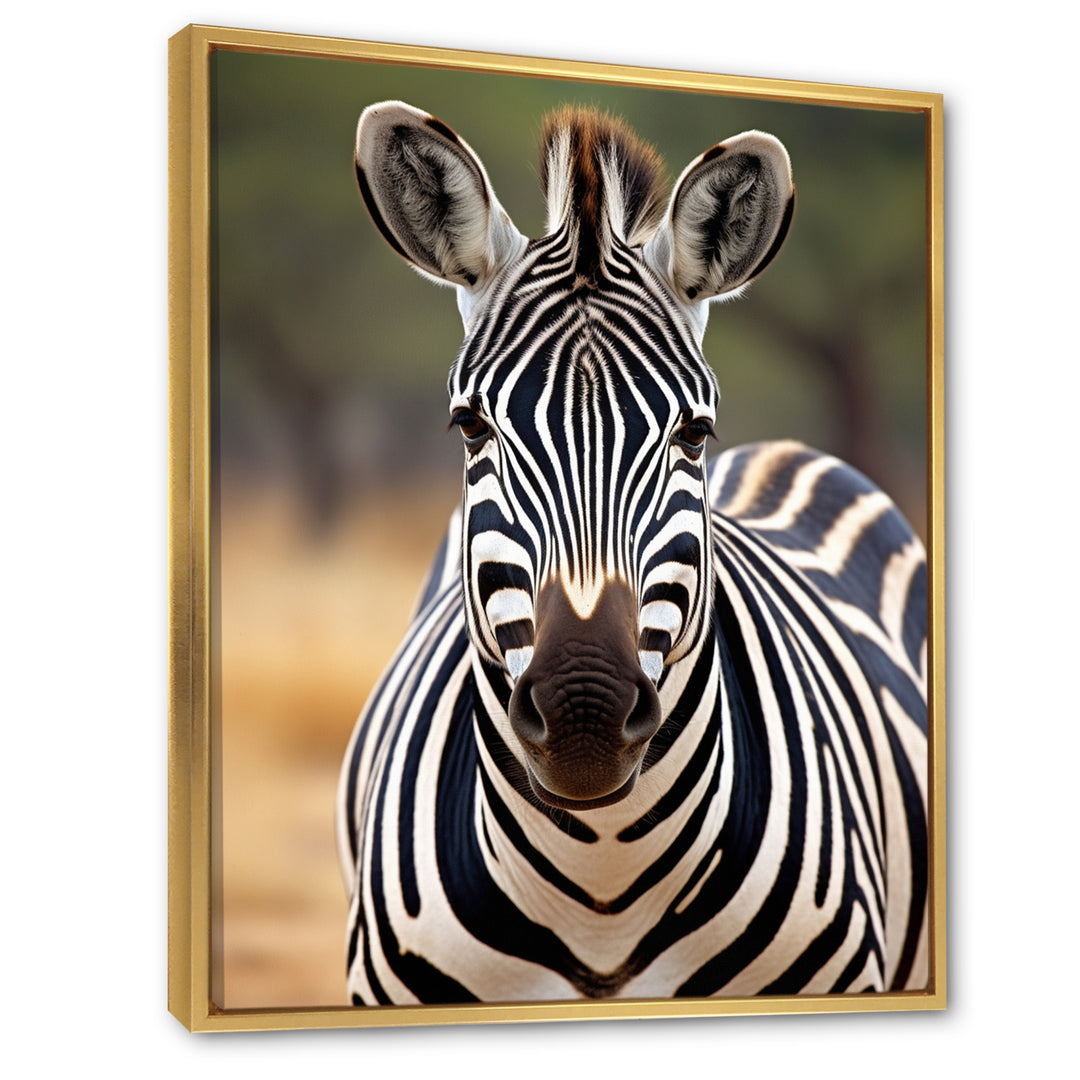 Zebra Patterns In - Zebra Living Room Wall Art