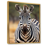 Zebra Patterns In - Zebra Living Room Wall Art