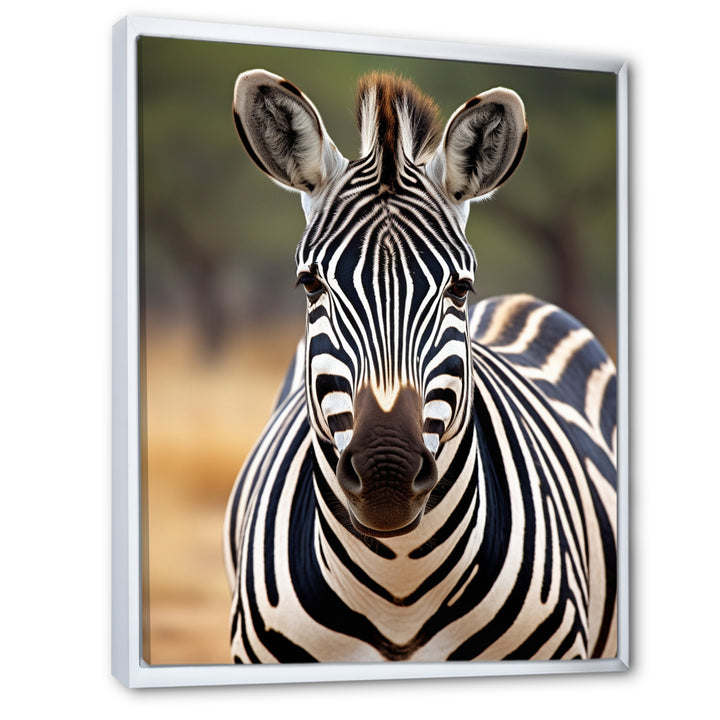Zebra Patterns In - Zebra Living Room Wall Art