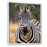 Zebra Patterns In - Zebra Living Room Wall Art