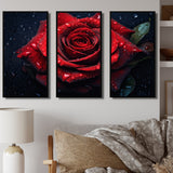 Red Rose with Raindrops VI - Split Panel Canvas Art