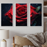 Red Rose with Raindrops VI - Split Panel Canvas Art