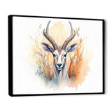 Wild Antelope Charm - Antelope Canvas Wall Art