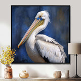 Majestic Pelican Seabird V - Animals Canvas Wall Art