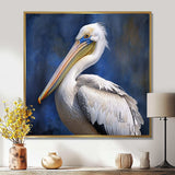 Majestic Pelican Seabird V - Animals Canvas Wall Art