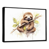 Lazy Sloth - Animals Canvas Wall Art