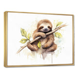 Lazy Sloth - Animals Canvas Wall Art