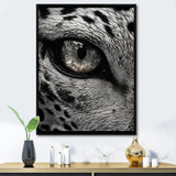 Fierce Tiger Eye - Tiger Framed Canvas Art