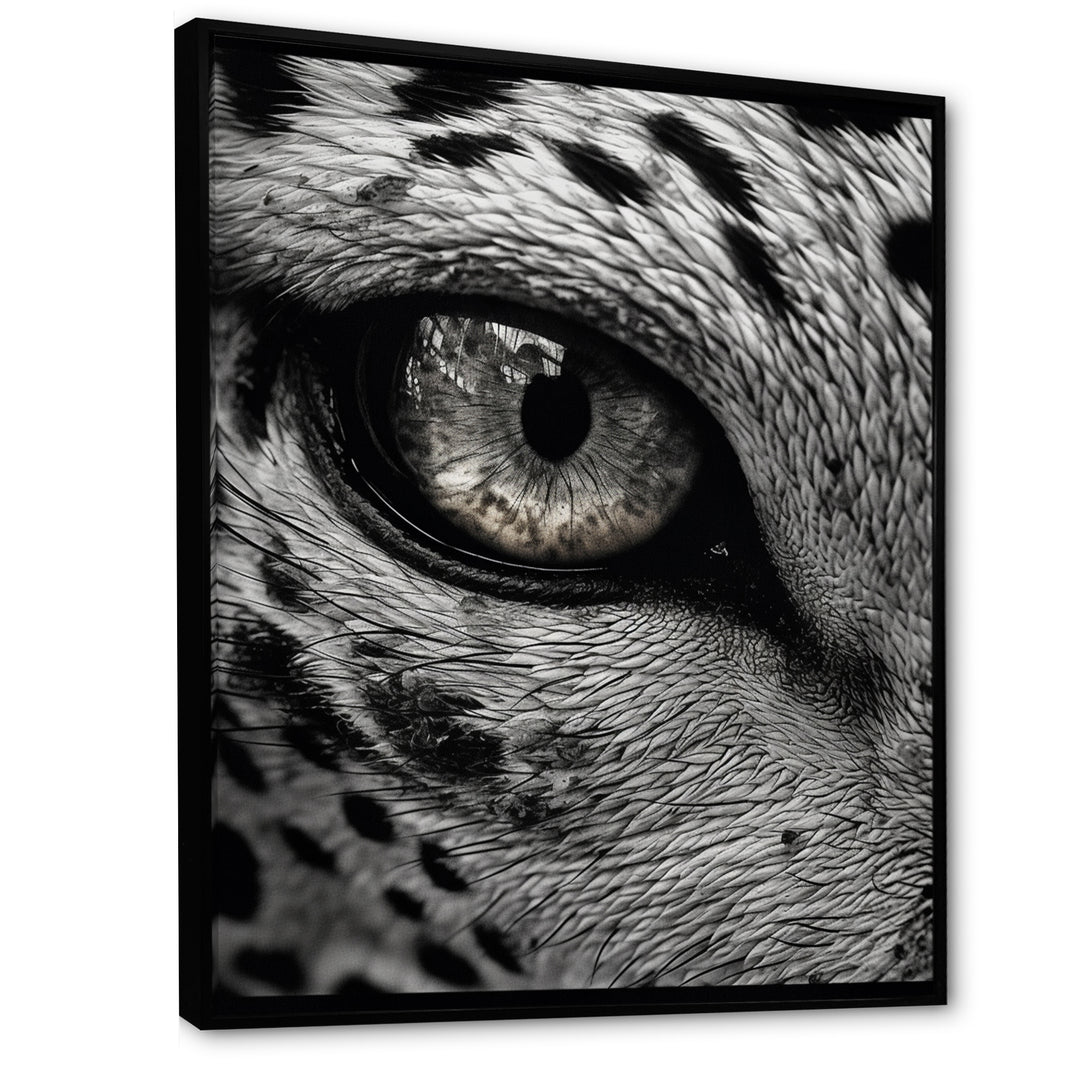 Fierce Tiger Eye - Tiger Framed Canvas Art