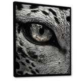 Fierce Tiger Eye - Tiger Framed Canvas Art