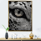 Fierce Tiger Eye - Tiger Framed Canvas Art