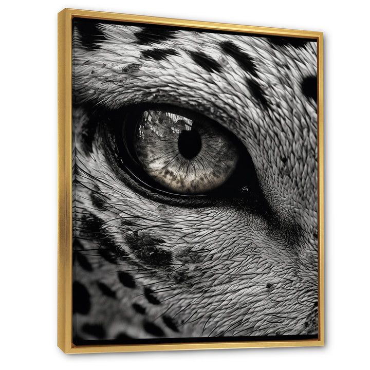 Fierce Tiger Eye - Tiger Framed Canvas Art