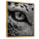 Fierce Tiger Eye - Tiger Framed Canvas Art