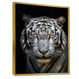 Fierce White Tiger II - Animals Canvas Wall Art