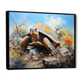 Turtle On Land I - Animals Canvas Wall Art