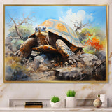 Turtle On Land I - Animals Canvas Wall Art