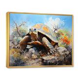 Turtle On Land I - Animals Canvas Wall Art