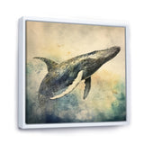 Graceful Whale - Whale Canvas Wall Art