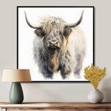 Wild Yak VI - Animals Canvas Wall Art