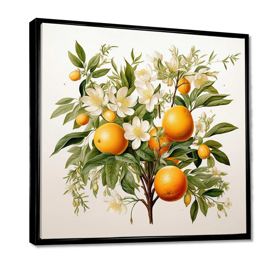 Orange Tree - Food &amp; Beverage Canvas Wall Art