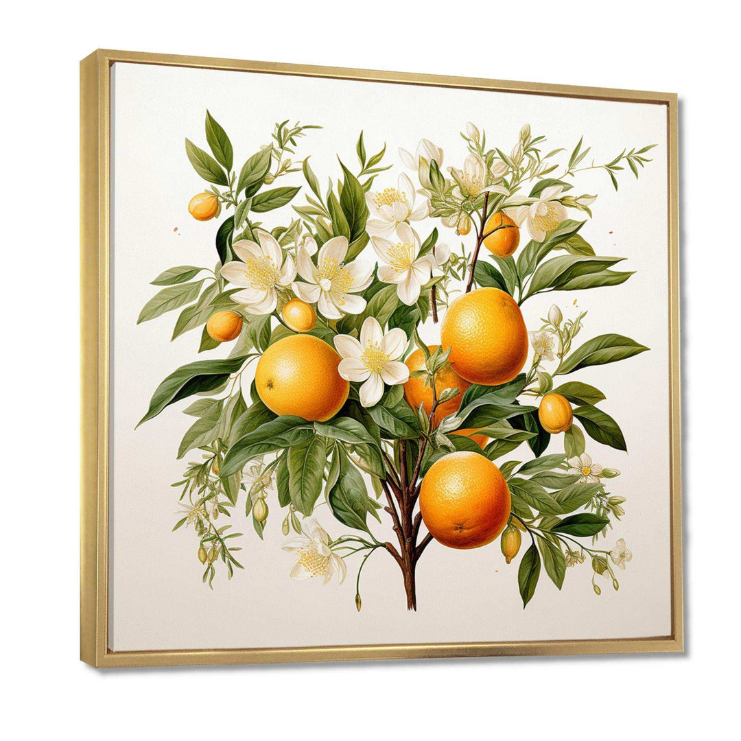 Orange Tree - Food &amp; Beverage Canvas Wall Art