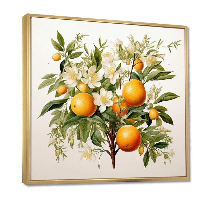 Orange Tree - Food &amp; Beverage Canvas Wall Art