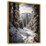 Frosty Snow Forest Path II - Landscapes Canvas Wall Art