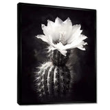 Black White Cactus Minimal Collage - Floral Canvas Wall Art