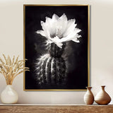 Black White Cactus Minimal Collage - Floral Canvas Wall Art