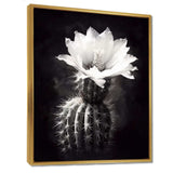 Black White Cactus Minimal Collage - Floral Canvas Wall Art