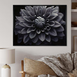 Black White Dahlia Garden Palette I - Floral Canvas Wall Art