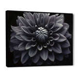 Black White Dahlia Garden Palette I - Floral Canvas Wall Art