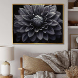 Black White Dahlia Garden Palette I - Floral Canvas Wall Art