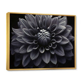 Black White Dahlia Garden Palette I - Floral Canvas Wall Art