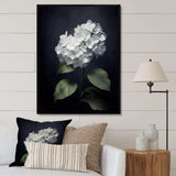 Black White Blooms Of Hydrangea - Floral Canvas Wall Art