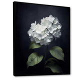 Black White Blooms Of Hydrangea - Floral Canvas Wall Art