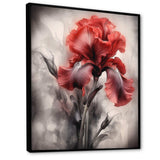 Red Black Iris Petal II - Floral Canvas Wall Art