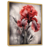 Red Black Iris Petal II - Floral Canvas Wall Art