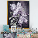 Purple Green Lilacs Fragrants Blossum - Floral Canvas Wall Art